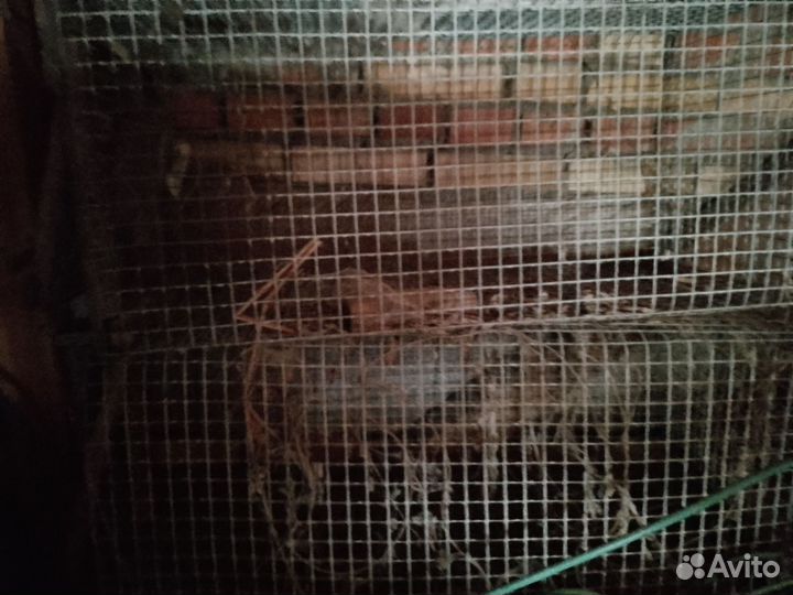 Клетка для кроликов