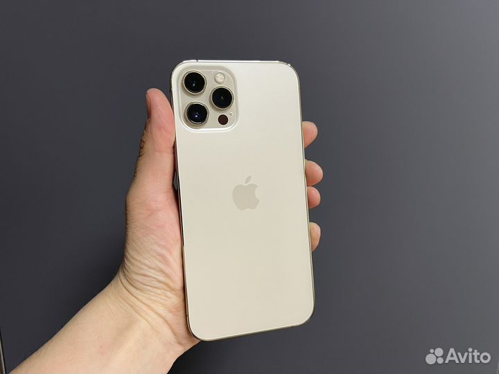 iPhone 12 Pro Max, 256 ГБ