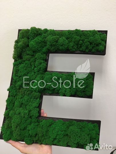 Буквы из мха. Логотип из мха