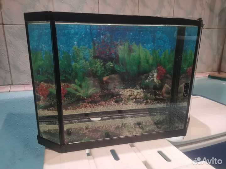Аквариум