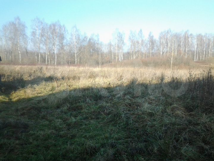 Участок 42 сот. (ИЖС)