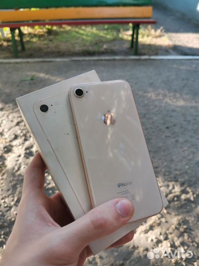 iPhone 8, 64 ГБ