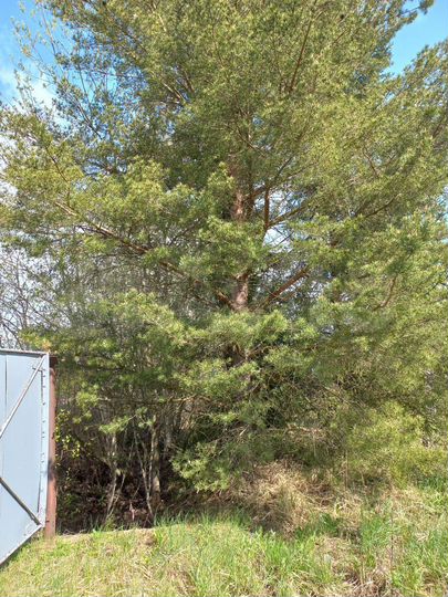 Дом 215 м² на участке 18 сот.