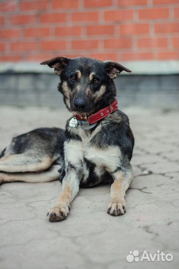 Завтра ждет улица