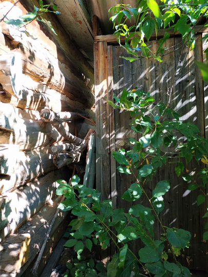 Дом 40 м² на участке 5,3 сот.