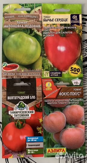 Рассада помидор разных сортов