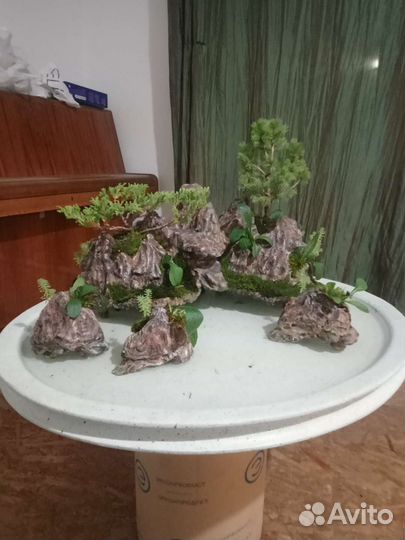 Фонтан бонсай