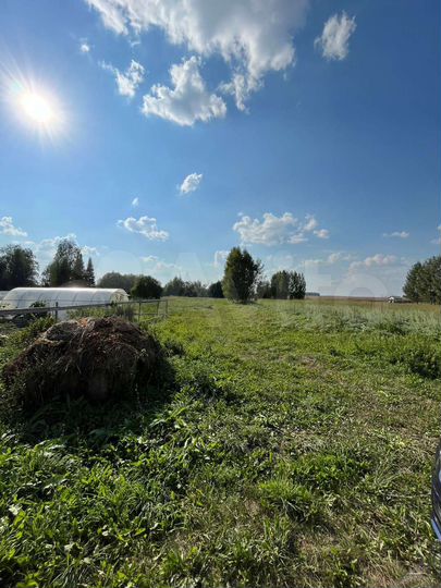 Участок 25 га (ИЖС)