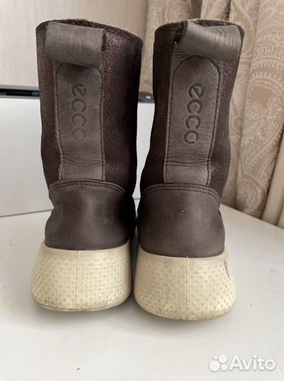 Сапоги ecco 34