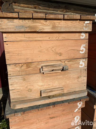 Улей для пчел бу