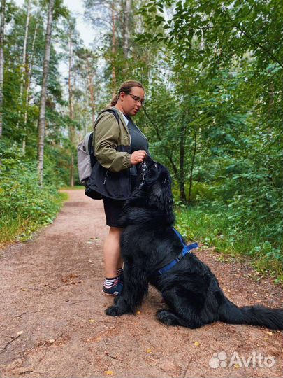 Зоопсихолог, кинолог, специалист по поведению