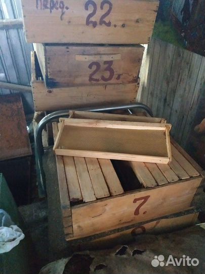 Зимние моховые подушки для ульев, магазины, рамки