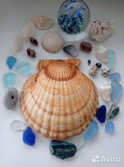 Ракушки раковины стеклянные камушки для аквариума