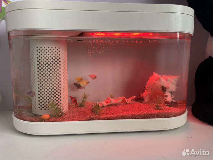 Аквариум xiaomi