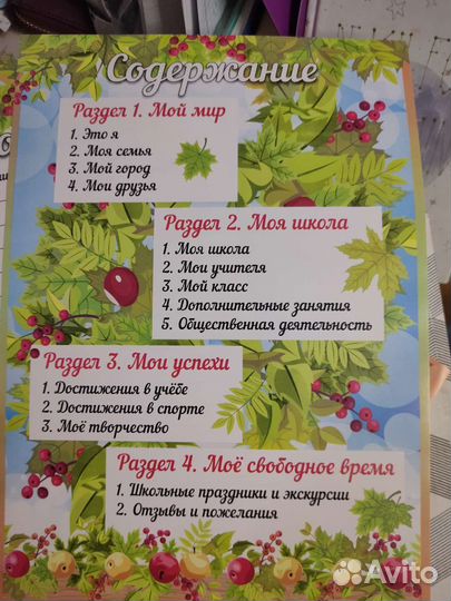 Школьное Портфолио