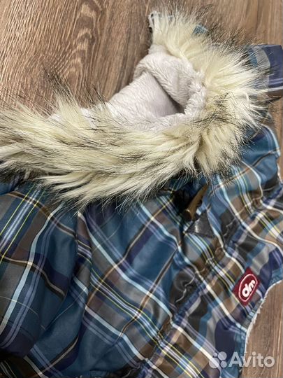 Одежда для маленьких собак