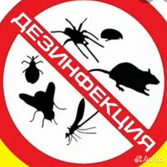 Травля тараканов. Дезинфекция. Обработка от клопов