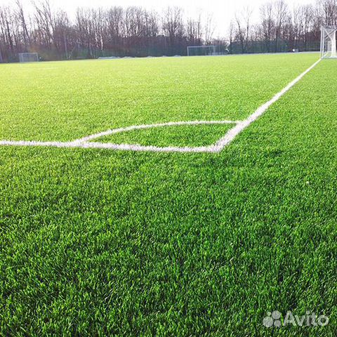 Семена Газон 