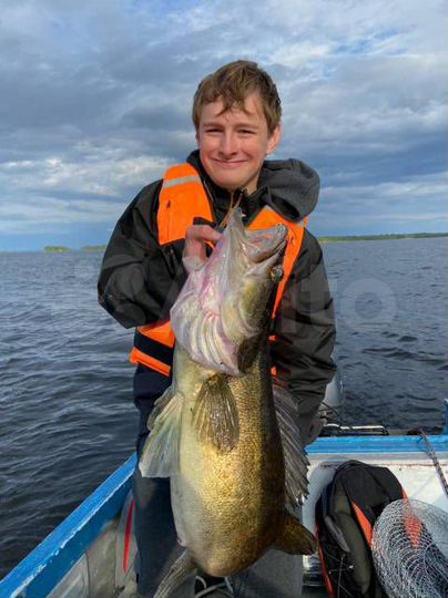 Дом 55 м² на участке 11 сот.