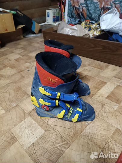 Горнолыжные ботинки