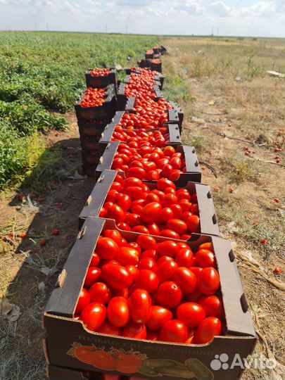 Продаю свое