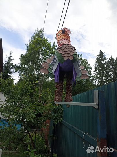 Бойцовые петухи