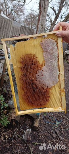 Рамки с сушью