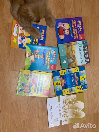 Развивающие книжки пакетом