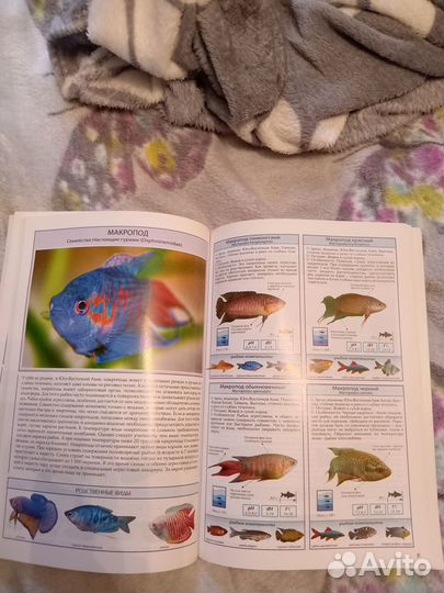 Книга об аквариумных рыбках