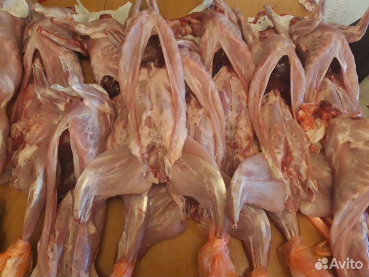 Кролик. Мясо кролика. Тушка кролика