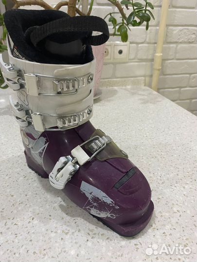 Горнолыжные ботинки