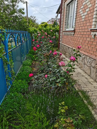 Дом 116 м² на участке 11 сот.