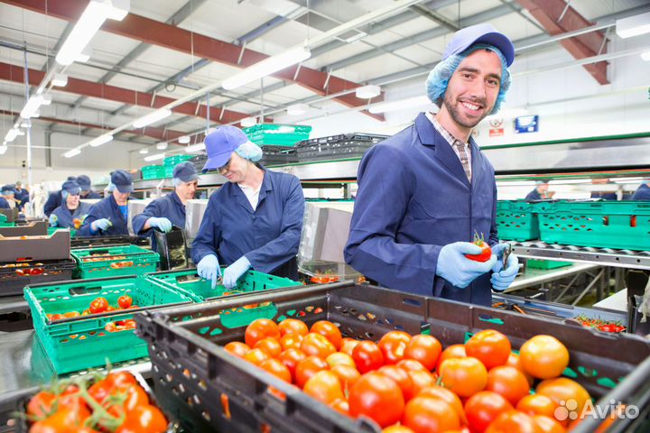 Грузчик на пищевое производство