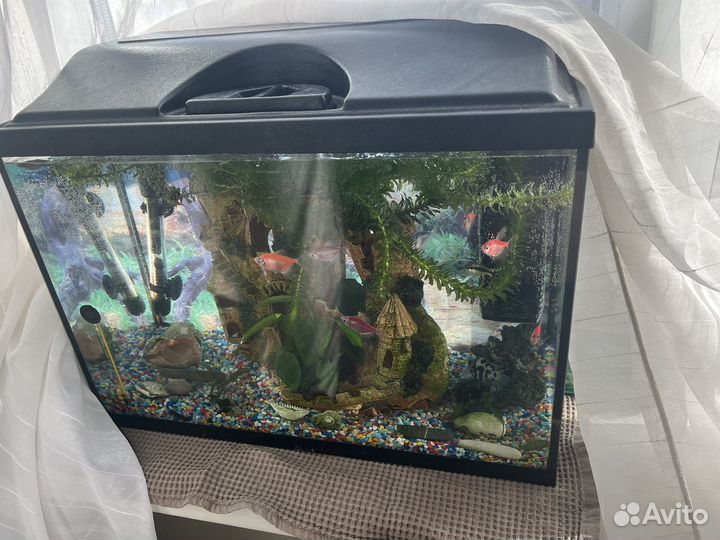 Аквариум