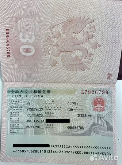 Китайский визовый центр