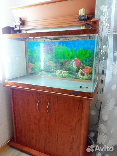 Аквариум с тумбой Jebo