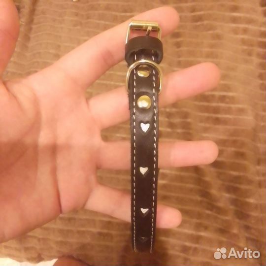 Продам ошейник для собак мелких пород