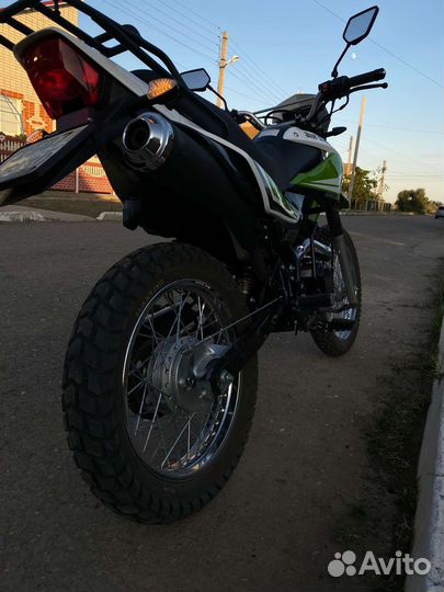 Racer Panter 250