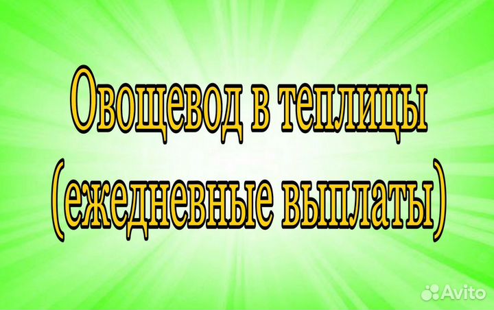 Овощевод в теплицу (ежедневные выплаты)