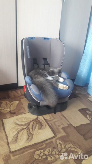 Продаю автокресла и бустер