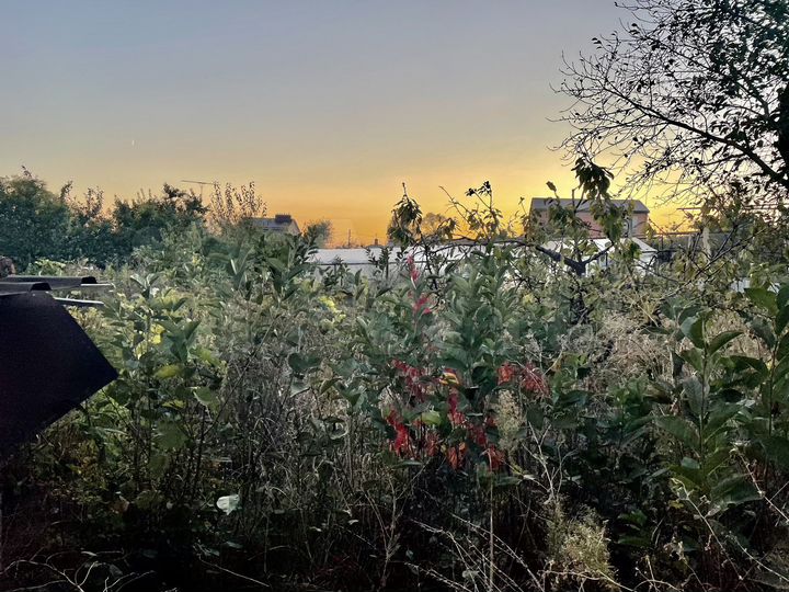 Участок 8 сот. (ИЖС)