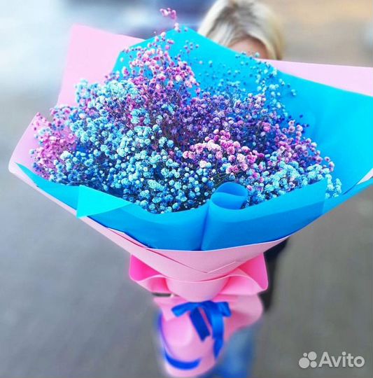 Цветы гипсофилы