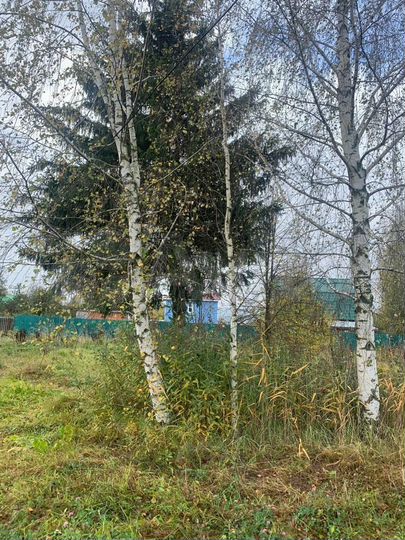 Участок 9 сот. (ИЖС)