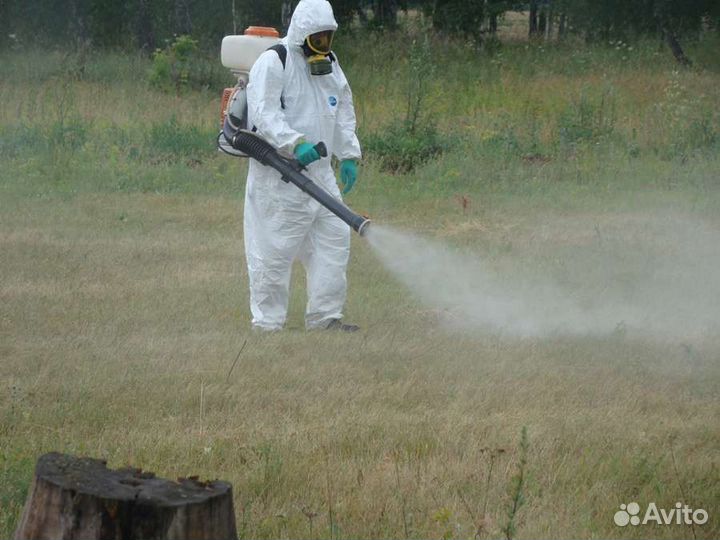 Уничтожение Тараканов Клопов Клещей Борщевик Ос