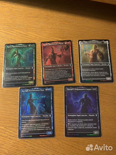 Заказ полубоги