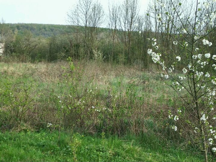 Участок 14,5 сот. (ИЖС)