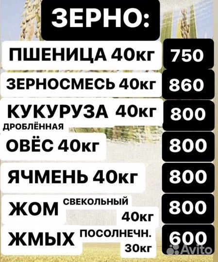 Комбикорм для кур несушек