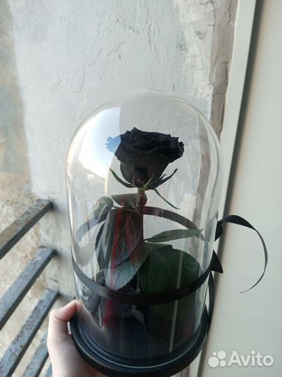 Роза в колбе