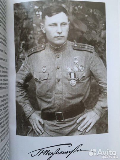 Покрышкин серия книг жзл