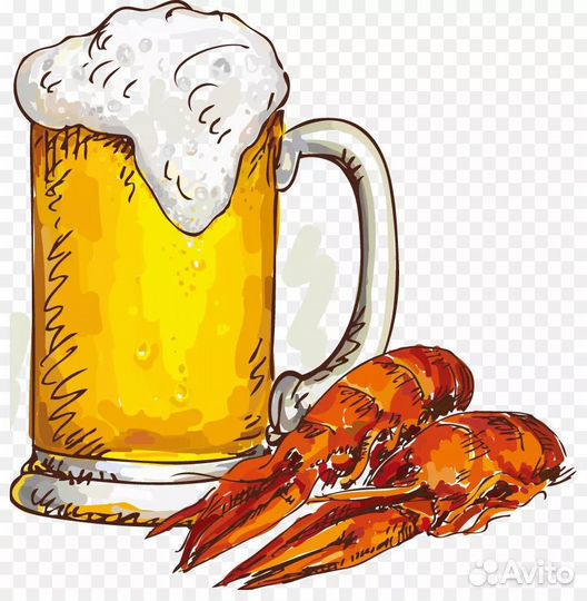 Продавец разливного пива с ежедневной оплатой